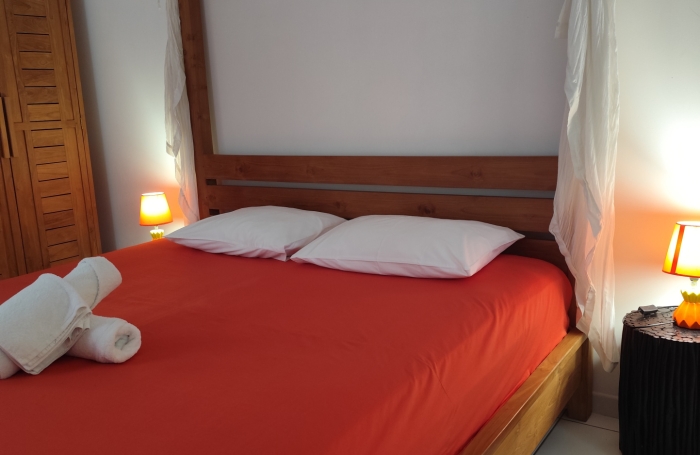 Appartement T2 + studio   Id&eacute;al investisseur   Bouillante, Guadeloupe