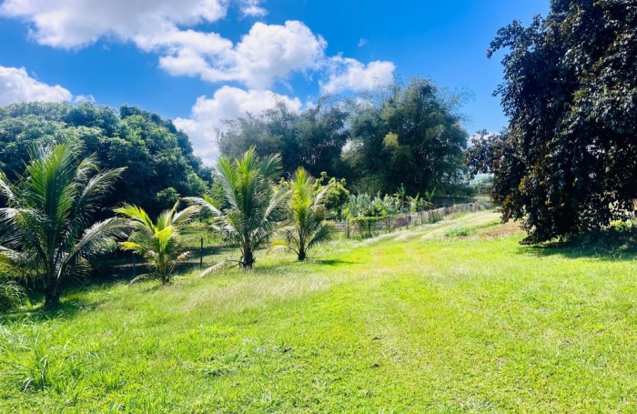 Vente Terrain 700m&sup2; Baie Mahault