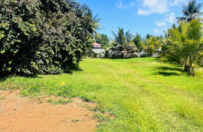 Vente Terrain 700m&sup2; Baie Mahault
