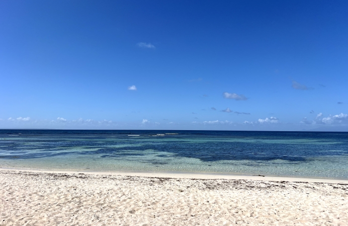 APPARTEMENT ANSE DES ROCHERS JOLIE VUE MER ET PISCINE