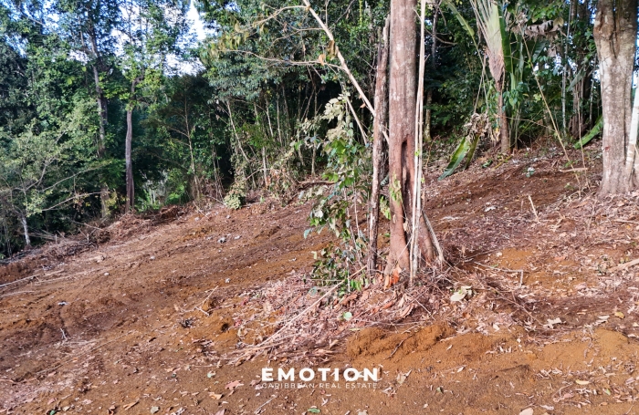 Terrain 1 140 m2 &agrave; vendre - Tambour / Grande Savane - Petit Bourg