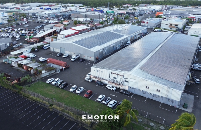Bureaux / Entrep&ocirc;t 300 m2 divisibles &agrave; Baie-Mahault Jarry ( Guadeloupe)