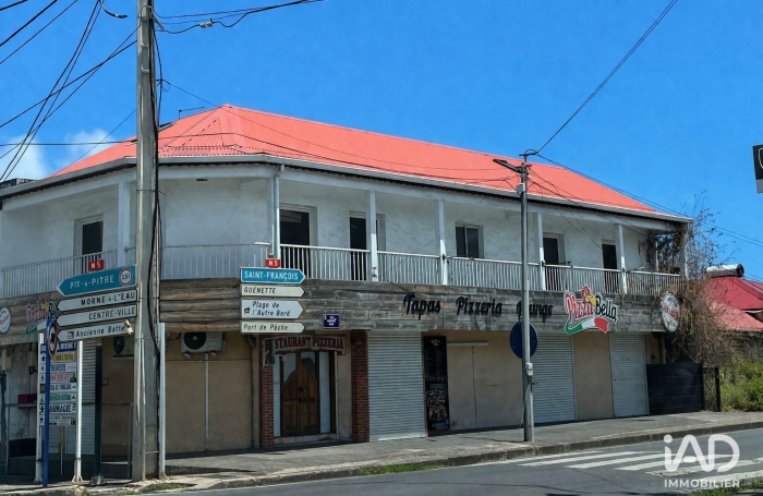 Vente Immeuble 97160