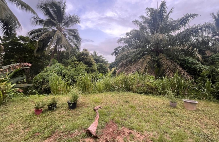 Vente Maison 73m&sup2; 3 pièces Goyave