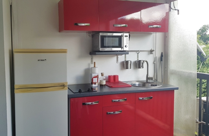 BEL APPARTEMENT T1 MEUBLE BAS DU FORT