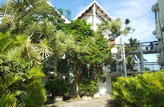 BEL APPARTEMENT T1 MEUBLE BAS DU FORT