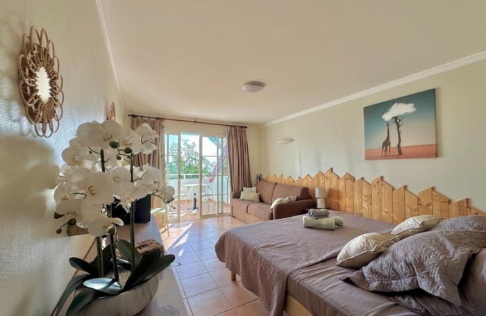 Vente Appartement 22m&sup2; 1 pièce Sainte Anne