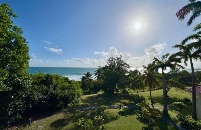 Vente Appartement 22m&sup2; 1 pièce Sainte Anne