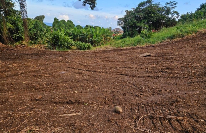 Vente Terrain 2210m&sup2; Capesterre Belle Eau