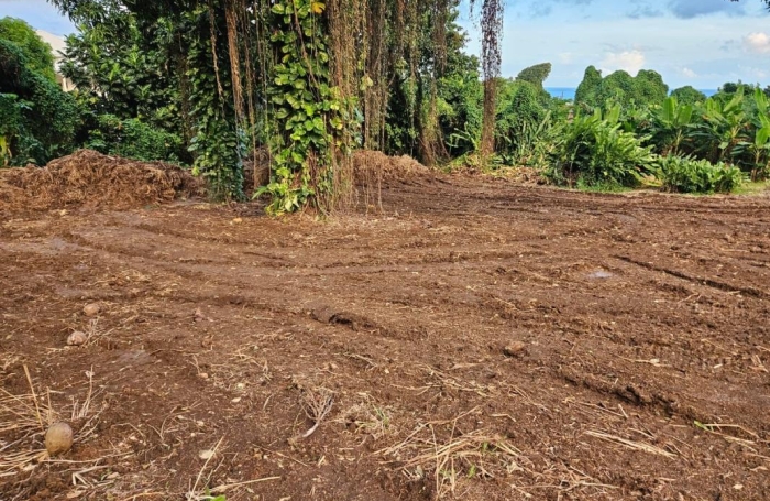 Vente Terrain 2210m&sup2; Capesterre Belle Eau