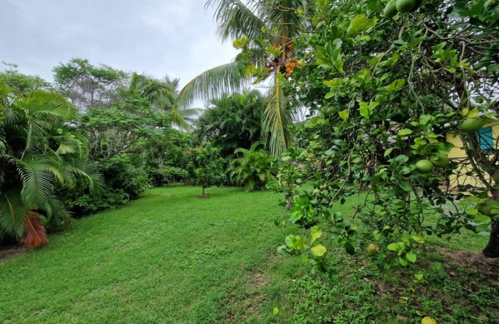 Vente Maison 340m&sup2; 8 pièces Deshaies