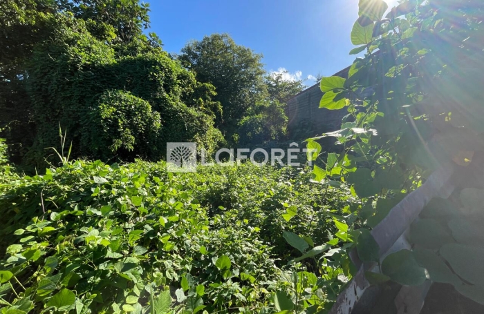Vente Terrain 237m&sup2; Pointe-&agrave;-Pitre