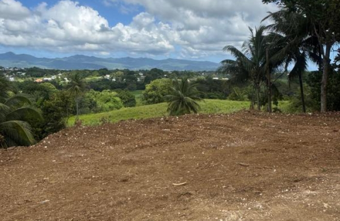 Vente Terrain 1000m&sup2; Baie Mahault