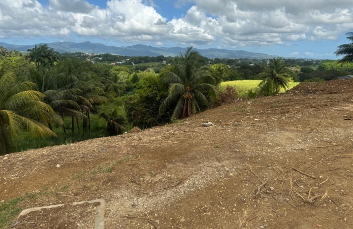 Vente Terrain 1000m&sup2; Baie Mahault