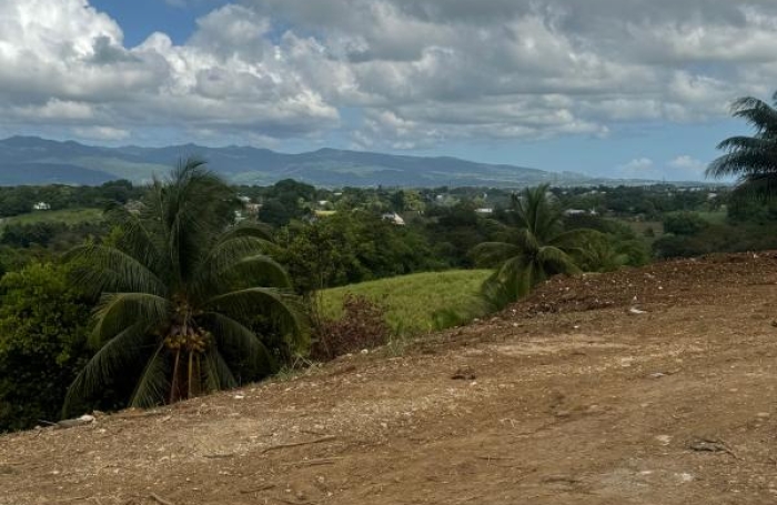 Vente Terrain 1000m&sup2; Baie Mahault