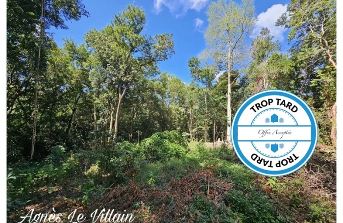 Vente Terrain 97125