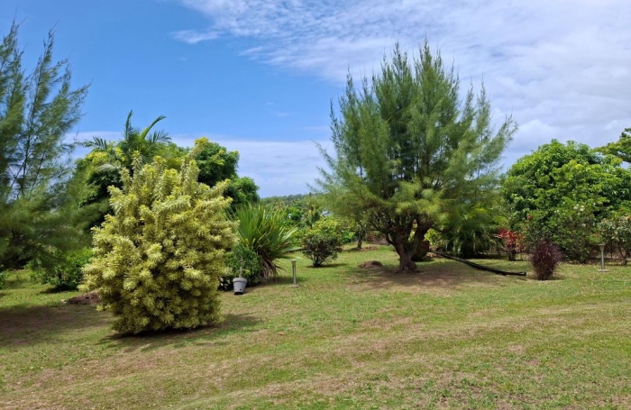 Location Maison 135m&sup2; 2 pièces Capesterre Belle Eau