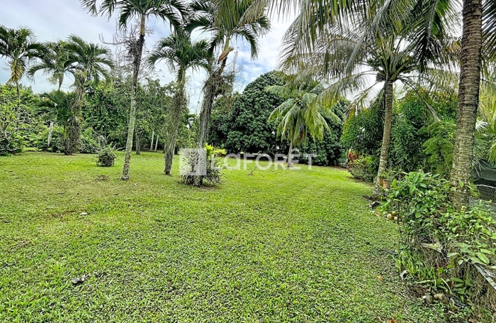 Vente Terrain 454m&sup2; Baie Mahault