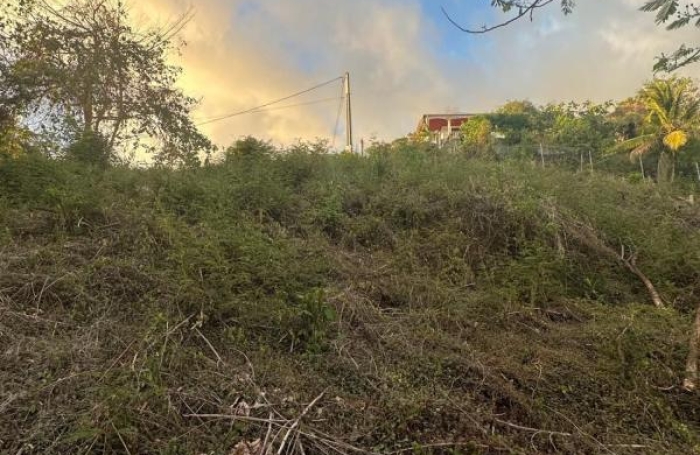 Vente Terrain 800m&sup2; Bouillante