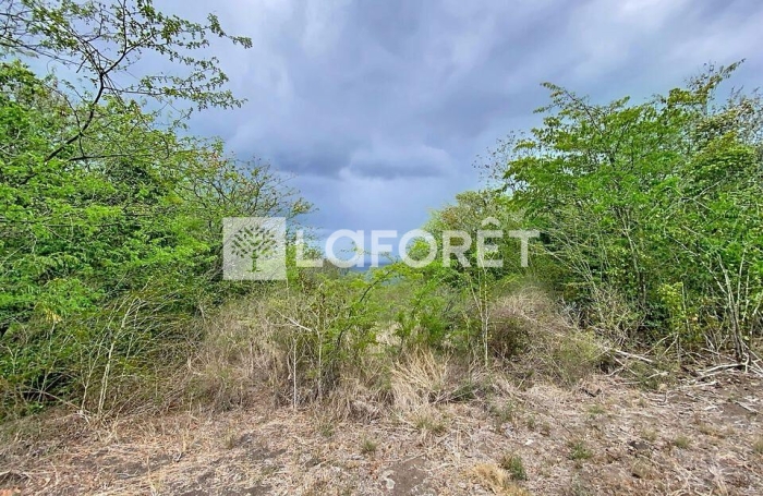 Vente Terrain 