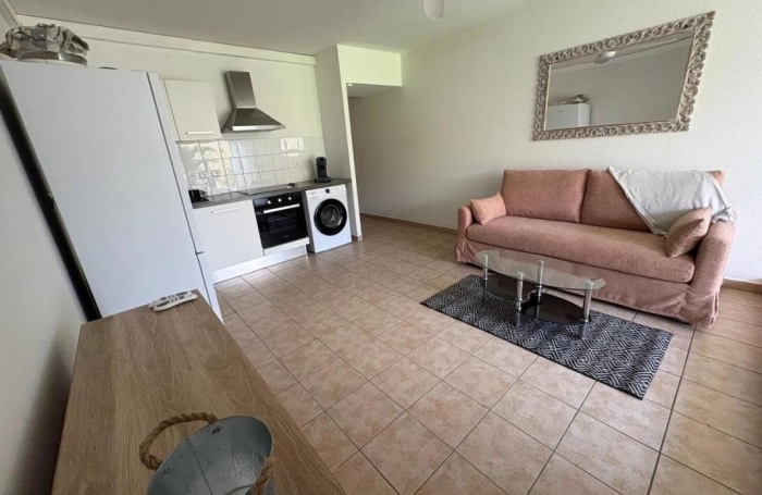 Location Appartement 97139