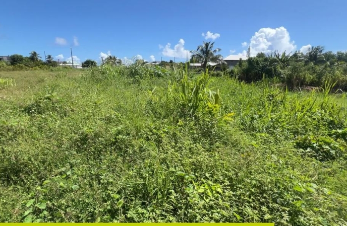 Le Moule -Terrain constructible 625m2