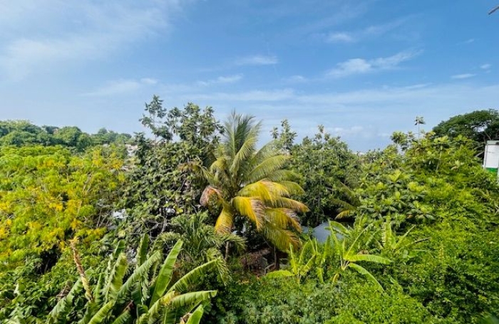Location Appartement 35.45m&sup2; 2 pièces Pointe-&agrave;-Pitre