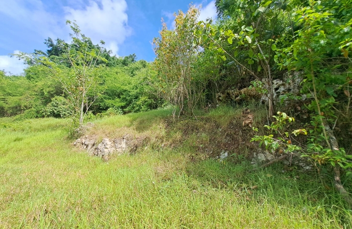 Vente Terrain 