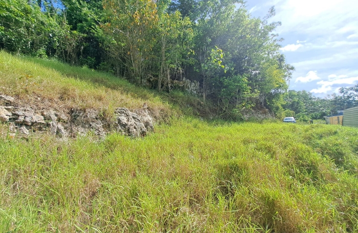 Vente Terrain 814m&sup2; Les Abymes