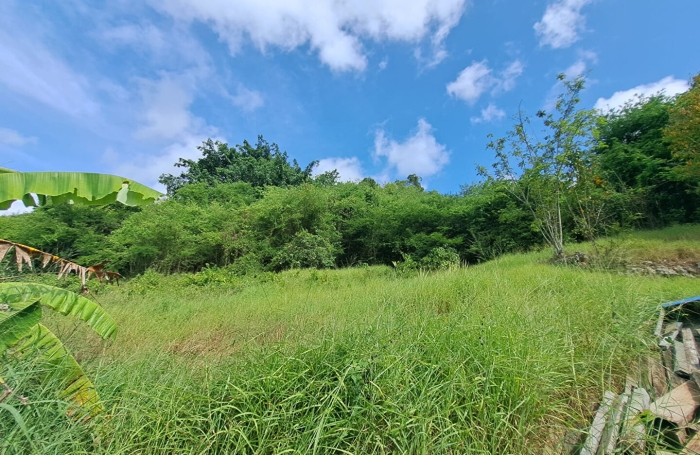 Vente Terrain 814m&sup2; Les Abymes