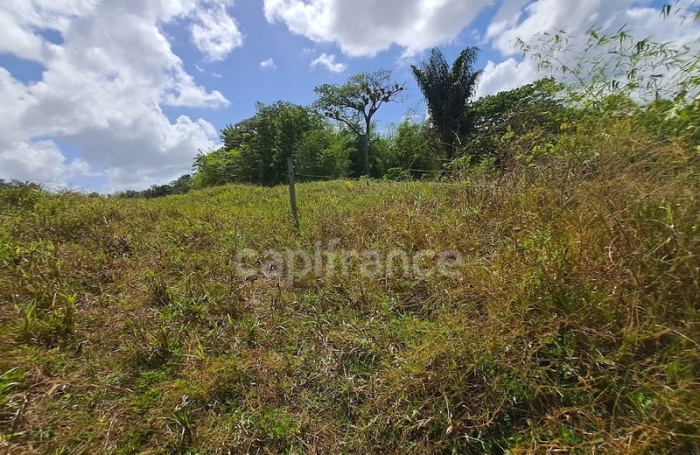 Vente Terrain 10040m&sup2; Montsinery