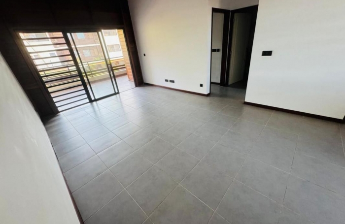 Location Appartement 97354