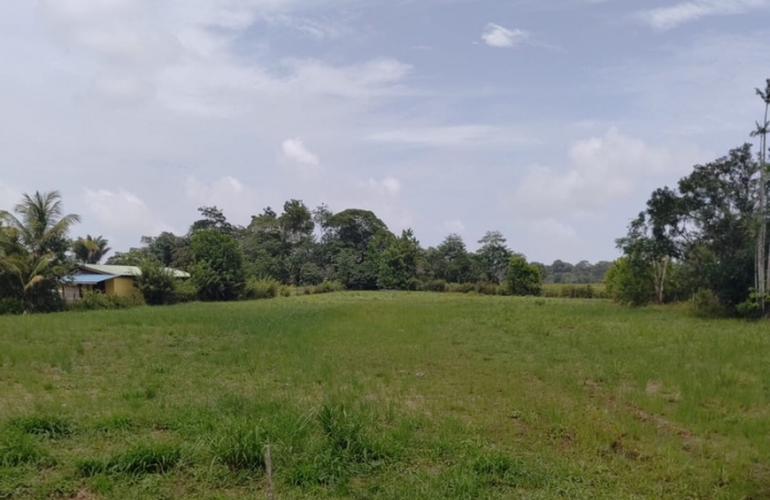 Vente Terrain 97356