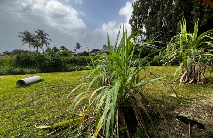 Vente Maison 97.8m&sup2; 4 pi&#232;ces Macouria Tonate