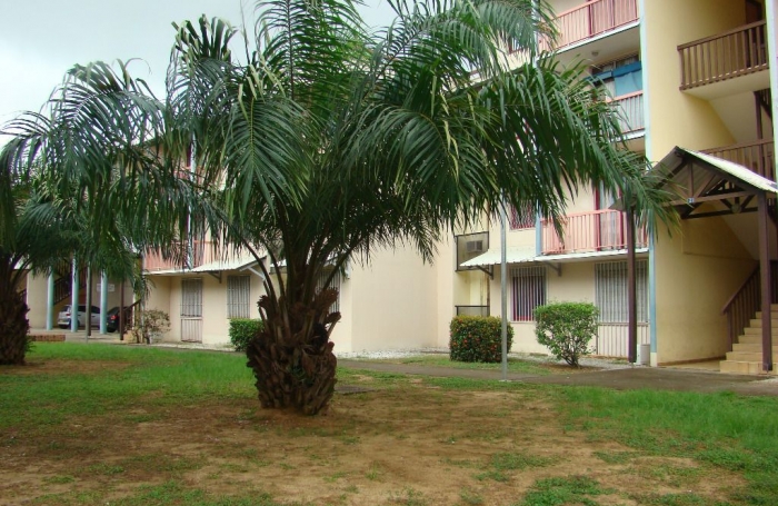 Vente Appartement 97310