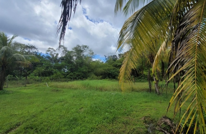 Vente Terrain 97320