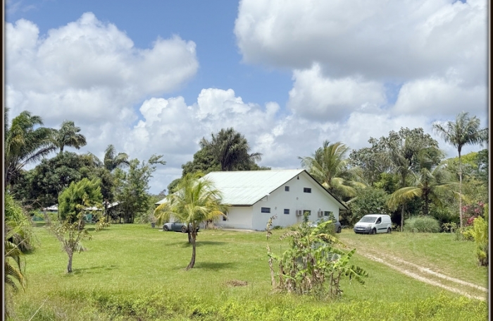Vente Maison 97315