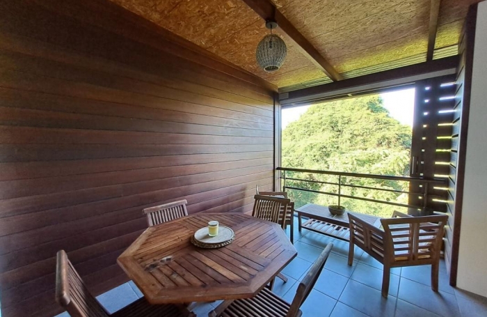 Location Appartement 97354