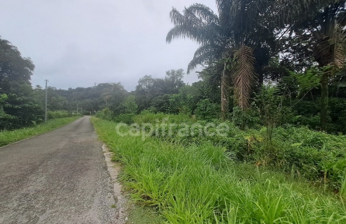 Vente Terrain 3444m&sup2; Matoury