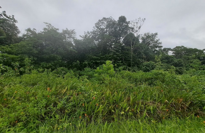 Vente Terrain 3444m&sup2; Matoury