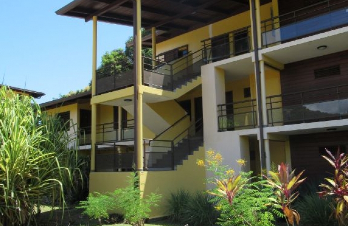 Location Appartement 97354