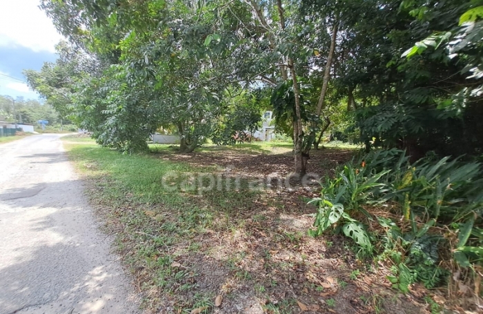 Vente Maison 166m&sup2; 6 pi&#232;ces Iracoubo