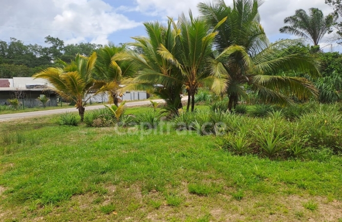 Vente Maison 166m&sup2; 6 pi&#232;ces Iracoubo