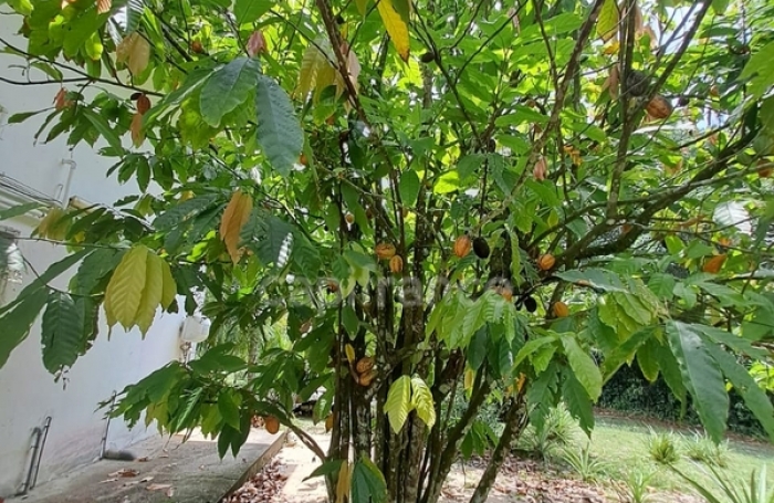 Vente Maison 166m&sup2; 6 pi&#232;ces Iracoubo