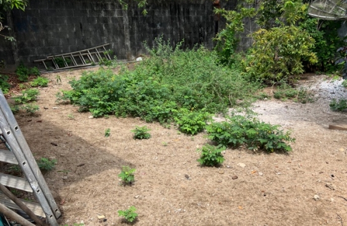 Vente Maison 80m&sup2; 4 pi&#232;ces Kourou