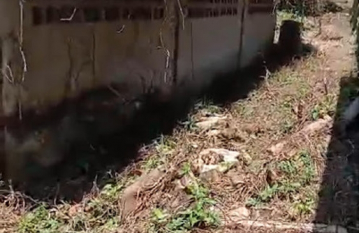 Vente Maison 75m&sup2; 4 pi&#232;ces Remire Montjoli