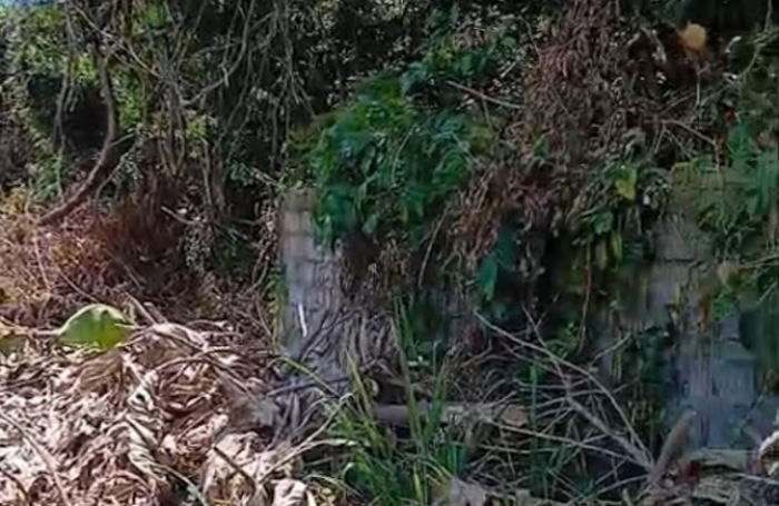 Vente Maison 75m&sup2; 4 pi&#232;ces Remire Montjoli