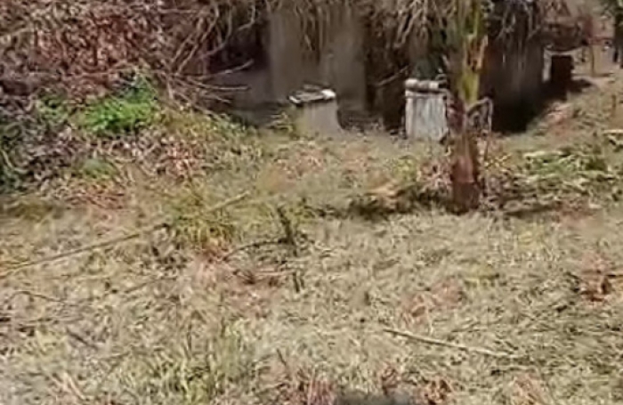 Vente Maison 75m&sup2; 4 pi&#232;ces Remire Montjoli