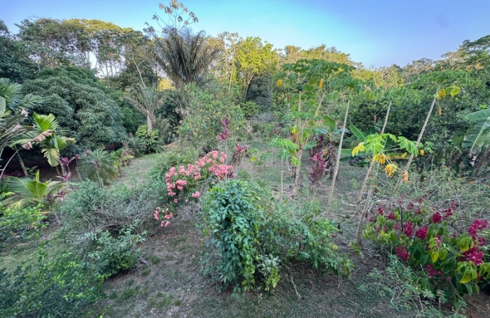 Vente Maison 167m&sup2; 3 pi&#232;ces Roura