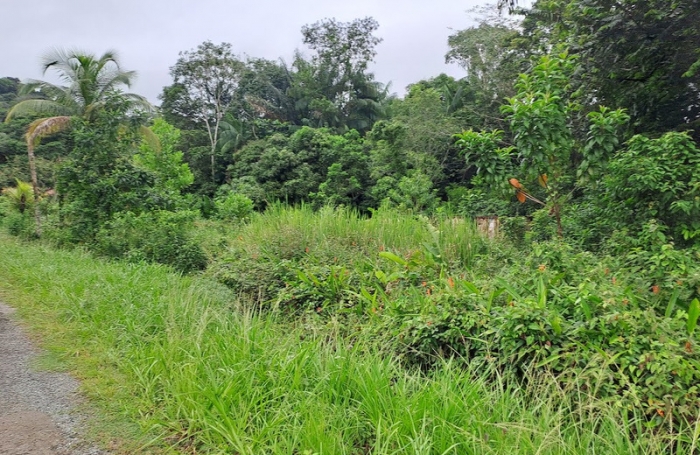 Vente Terrain 3444m&sup2; Matoury